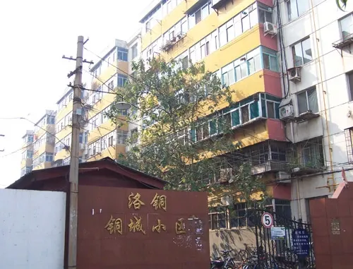 整租·洛铜铜城小区 2室2厅 南/北