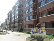 金桥平泰小区2室2厅1卫南北朝向1300.00元/月出租