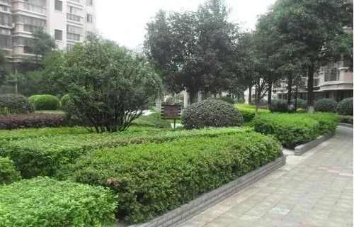 整租·湘银嘉园3室2厅