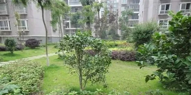 北湾景园3室2厅2卫南朝向2100.00元/月出租