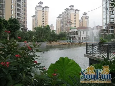 兰卡威国际二手房实景图