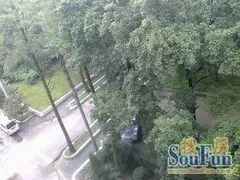 城南中路林勘院2室1厅1卫南朝向2380.00元/月出租