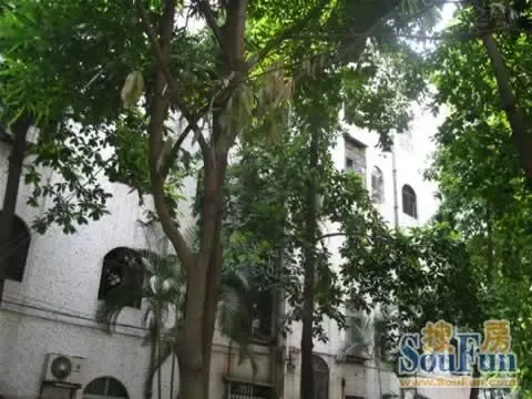 岳麓区教师村宿舍2室2厅1卫南朝向2100.00元/月出租