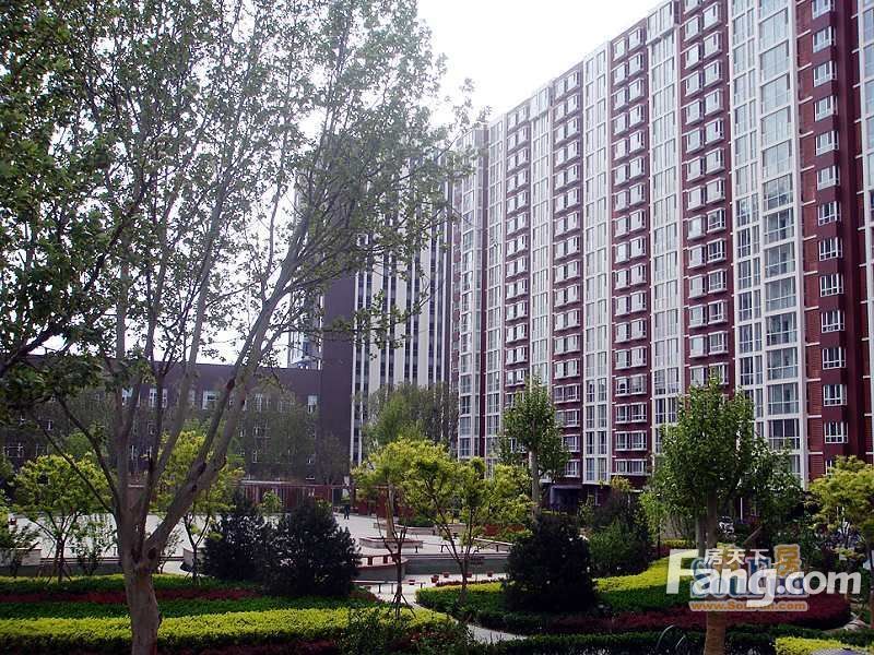艺苑·桐城1室1厅1卫南北朝向3600.00元/月出租