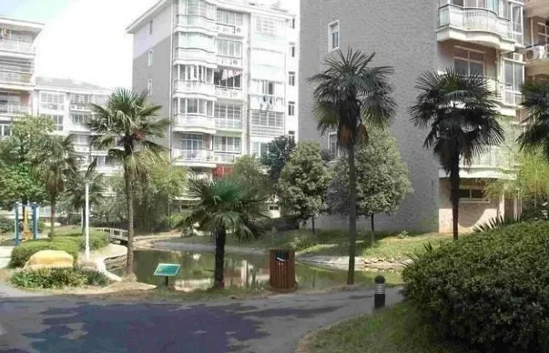 双银花园3室1厅1卫东南朝向2200.00元/月出租