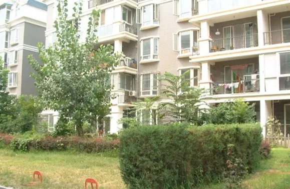 东方润龙外景图