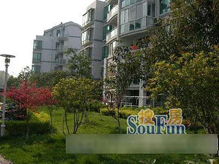 聚业苑3室2厅2卫南北朝向1800.00元/月出租