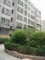 交通厅街宿舍3室1厅1卫南朝向1000.00元/月出租