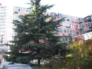 ����·��52��Ժ�⾰ͼ