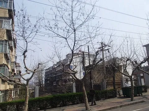 白石新城2室1厅1卫南北朝向1600.00元/月出租