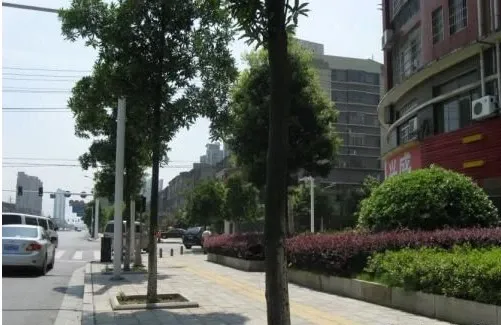 整租·天泰馨园 3室2厅 南
