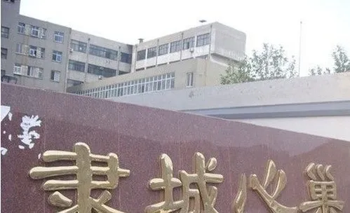 整租·隶城心巢 1室1厅 南