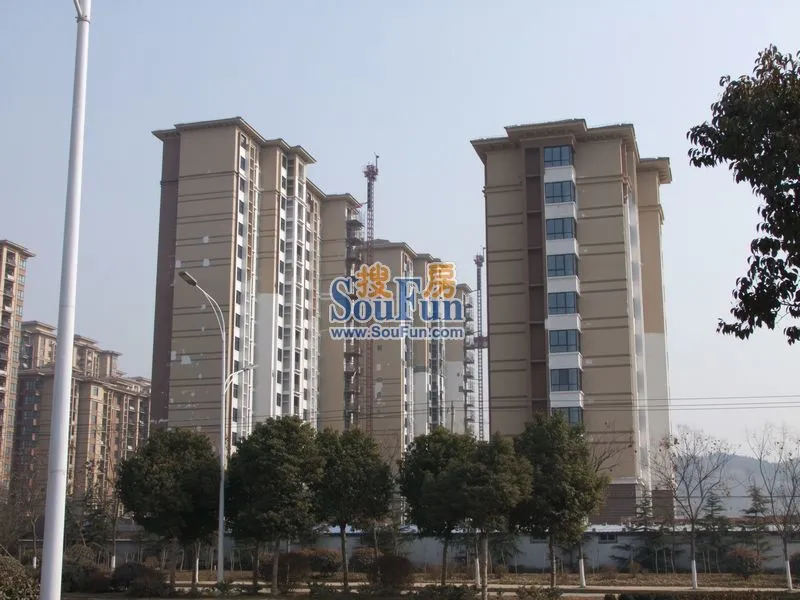 实景图:实景图（2013-1-21）