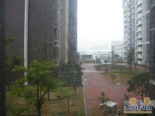 星雨心苑3室2厅2卫南朝向2100.00元/月出租