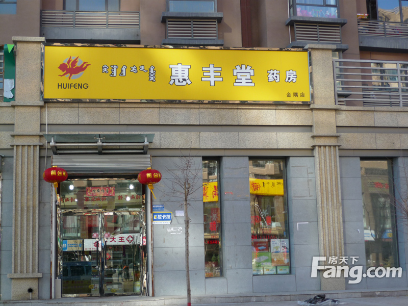 金隅朗峰周边惠丰堂药店