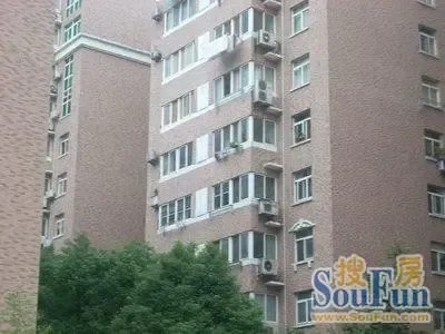 中油家园3室2厅2卫南朝向2500.00元/月出租