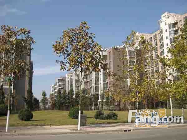 南光小区2室2厅1卫南朝向1300.00元/月出租