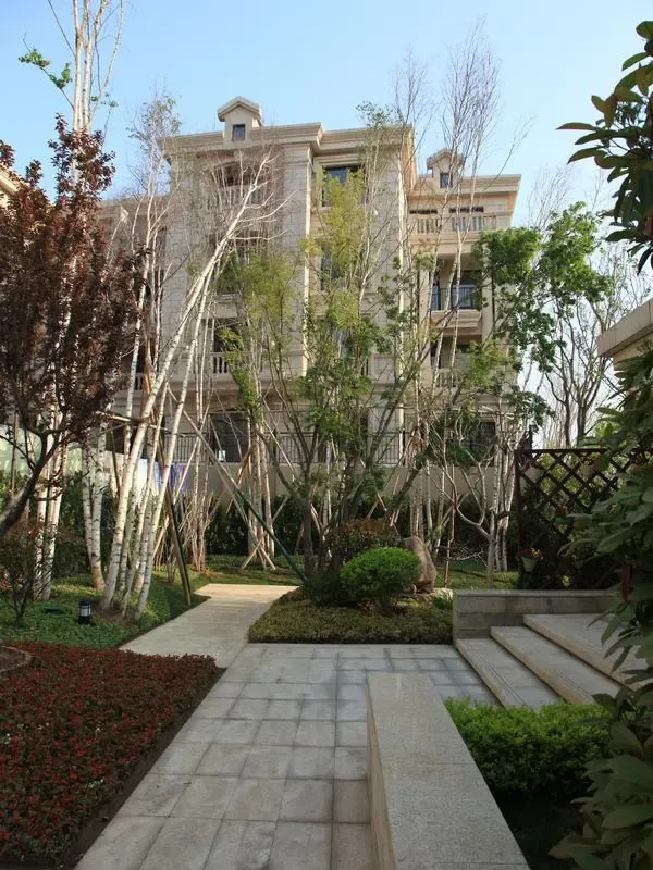 青特城4室2厅2卫南朝向10000.00元/月出租