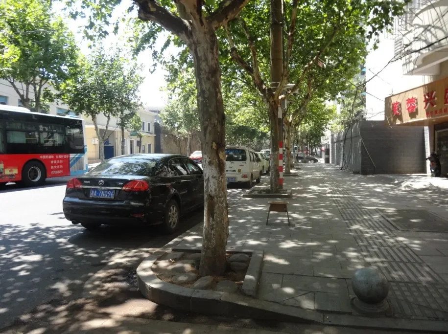 苎麻公司宿舍2室1厅1卫南北朝向1100.00元/月出租