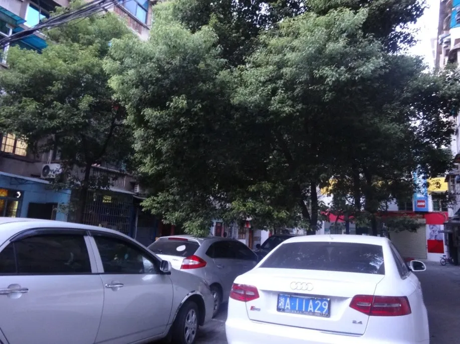 曹家坡社区2室1厅1卫南北朝向1500.00元/月出租