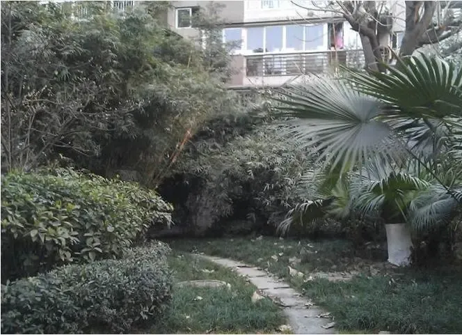 金房竹韵天府2室1厅1卫东南朝向2350.00元/月出租