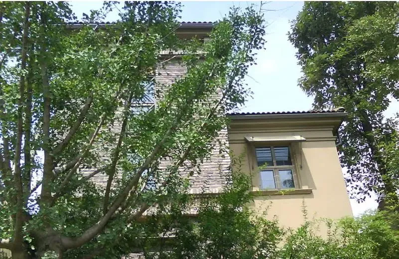 麓山国际塞尔维蒙4室2厅2卫西南朝向6900.00元/月出租