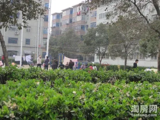 联合楼2室1厅1卫南北朝向1000.00元/月出租