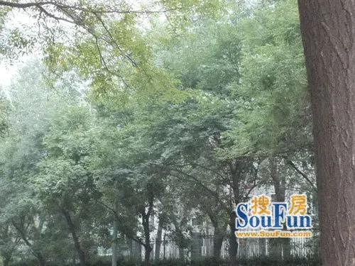 中南花苑2室1厅1卫南北朝向800.00元/月出租