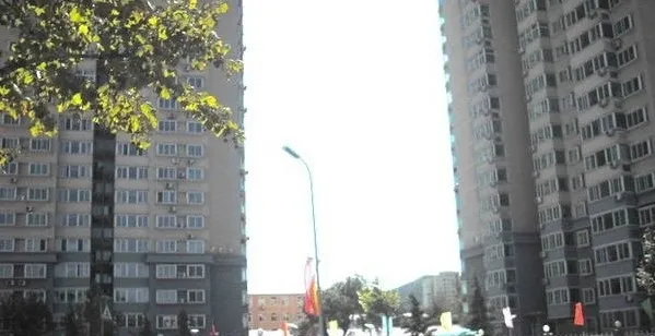 新桥家园1室1厅1卫东西朝向2800.00元/月出租