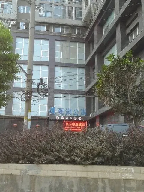 观湖公寓1室1厅1卫南朝向1200.00元/月出租