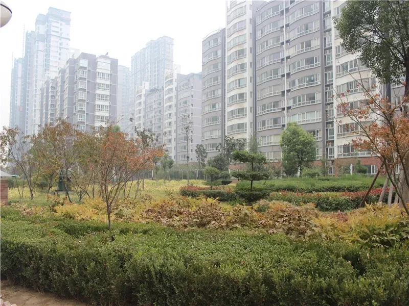 中油家园3室2厅1卫南朝向2000.00元/月出租