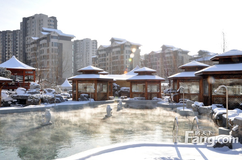 实景图:雪后温泉园区实景（2013-12-23）
