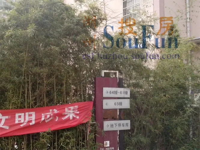 东苑新村3室2厅2卫南朝向1300.00元/月出租