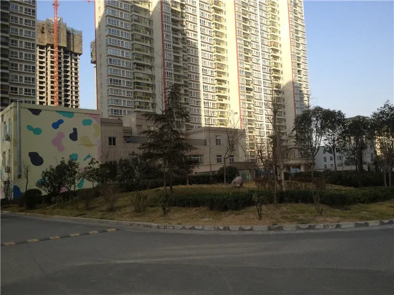 新天地红太阳花园3室2厅2卫南北朝向2500.00元/月出租