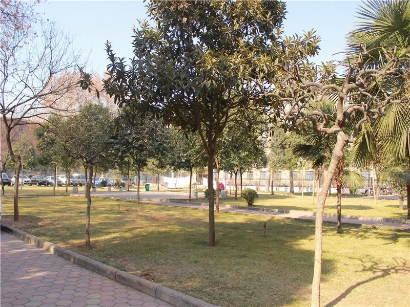 医专家属院2室1厅1卫南朝向1000.00元/月出租