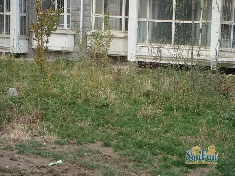 燃气公司家属楼2室1厅1卫南北朝向1500.00元/月出租