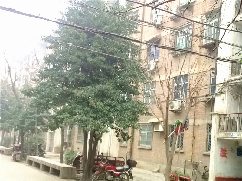 铁路信息工程学校家属院1室1厅1卫南朝向700.00元/月出租