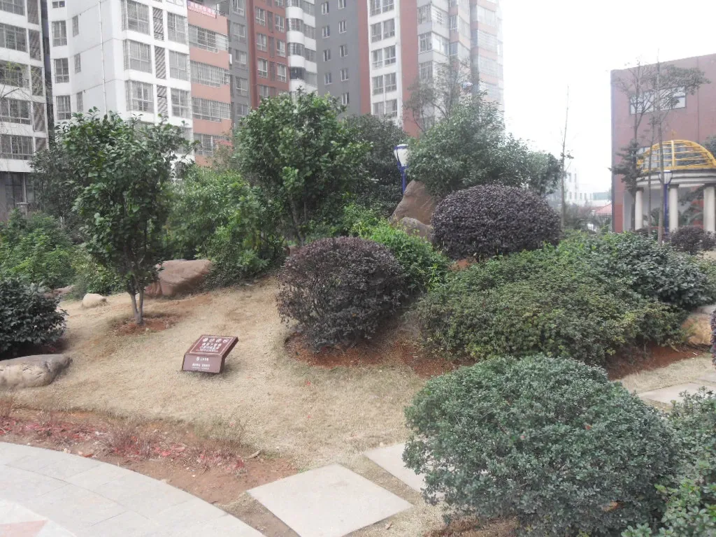 山水华景1室1厅1卫南朝向1400.00元/月出租
