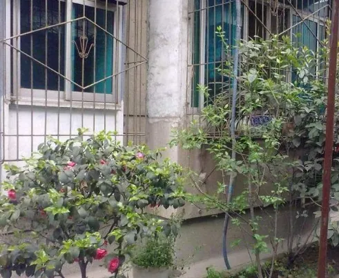 菽香苑二手房实景图