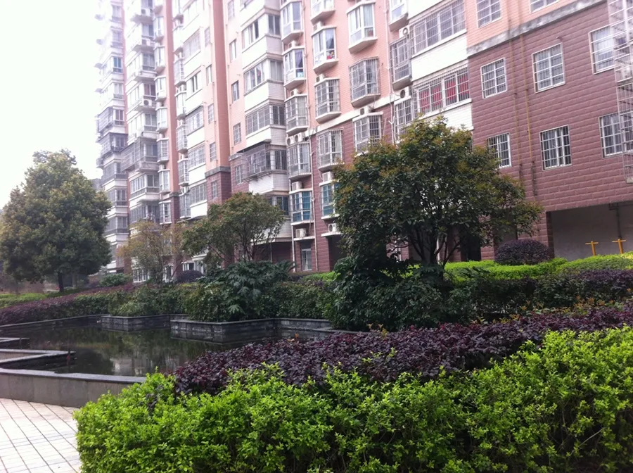 鑫天芙蓉3室2厅2卫南北朝向1800.00元/月出租