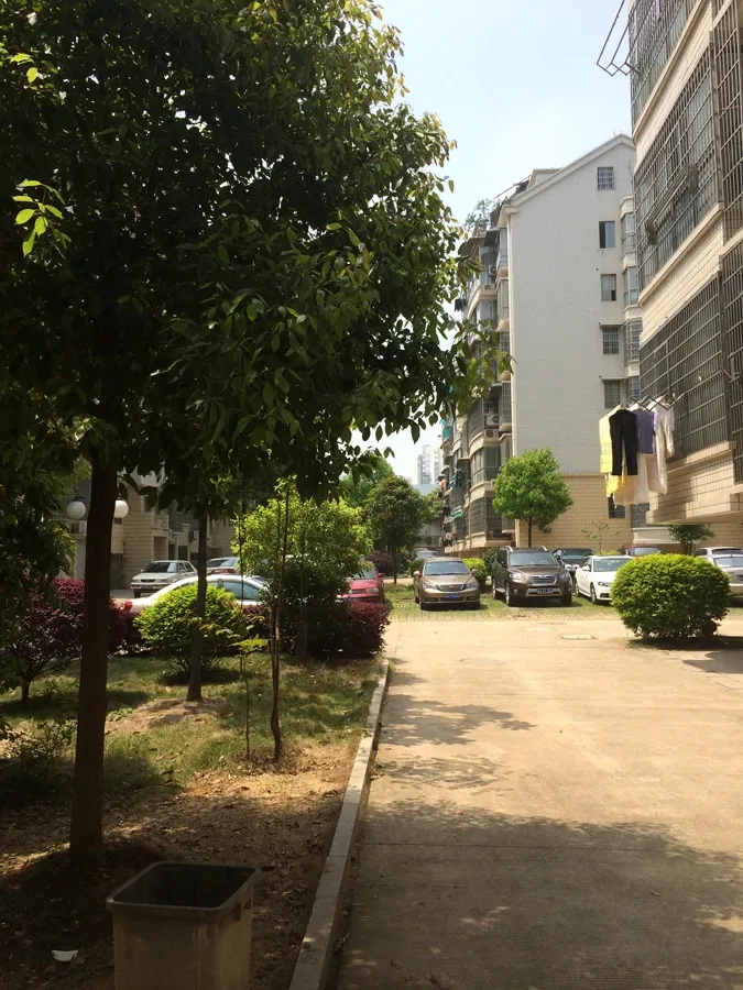 麓谷沐春园2室3厅1卫南北朝向2180.00元/月出租