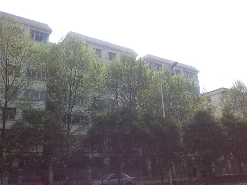河科大家属院3室2厅1卫南北朝向800.00元/月出租