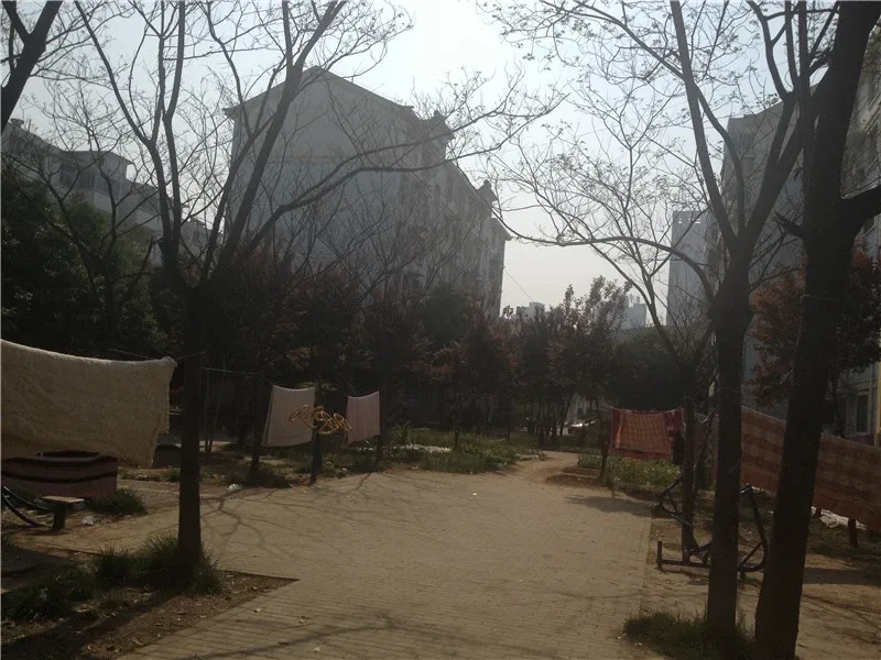 龙富小区3室1厅1卫南北朝向600.00元/月出租