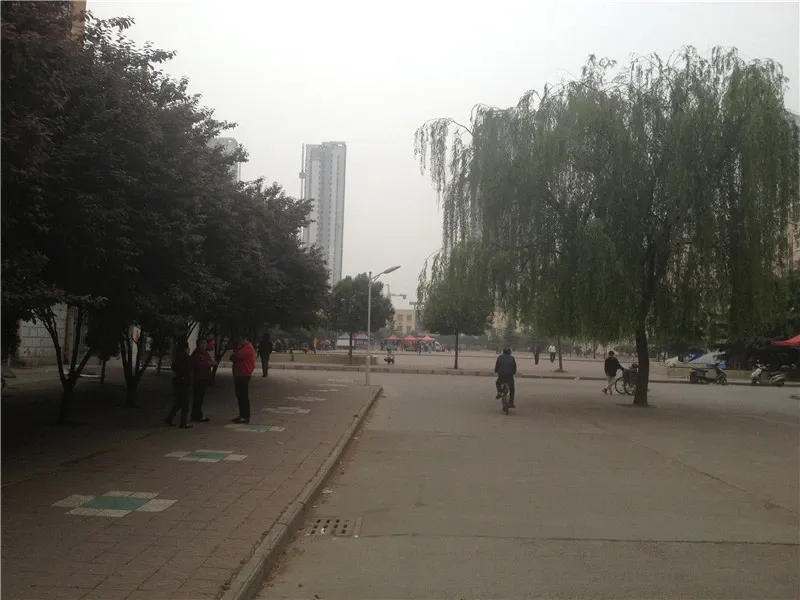 龙富小区3室2厅1卫东南北朝向1500.00元/月出租