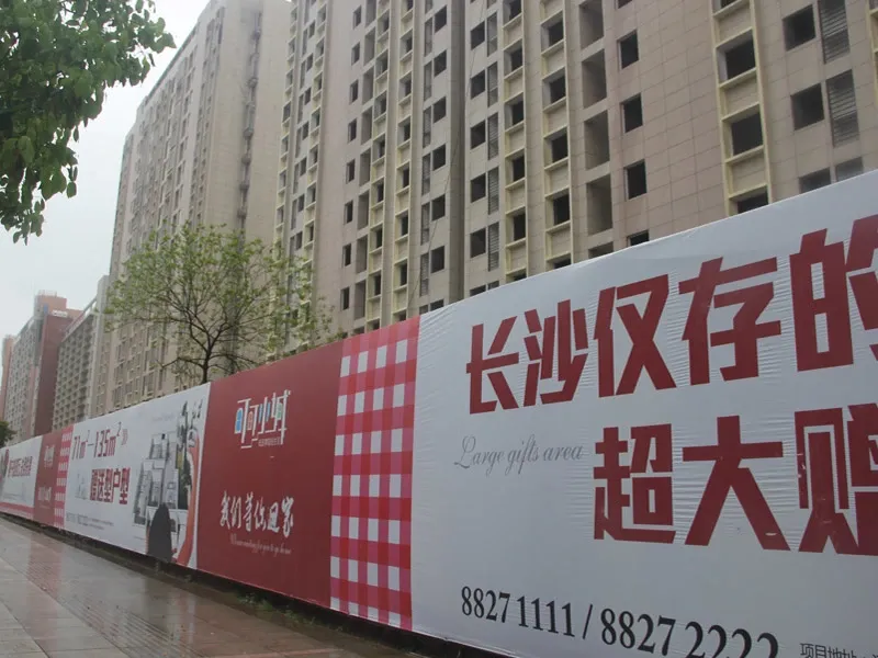 可可小城2室2厅1卫南朝向2300.00元/月出租