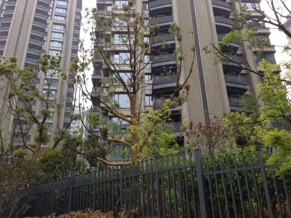 整租·欣盛东方福邸 2室0厅 西北/北