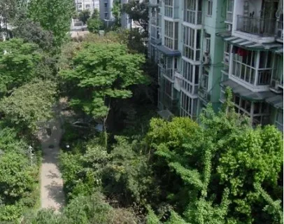 金港湾花园二期2室1厅1卫东南朝向2100.00元/月出租