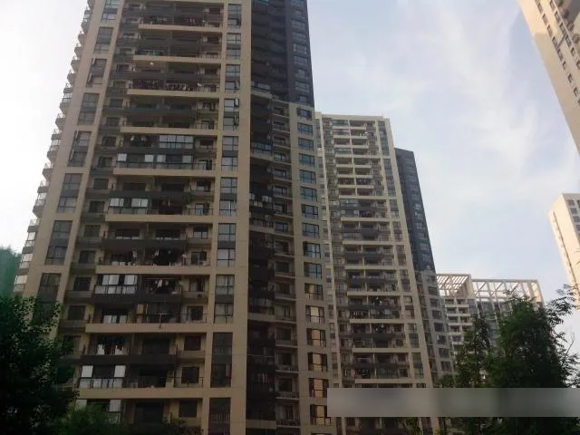 整租·蜀麓苑 1室1厅 南