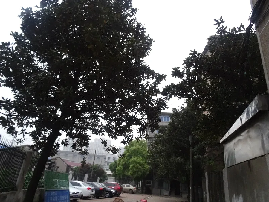 茶园坡送变电建设公司宿舍2室1厅1卫南朝向1200.00元/月出租