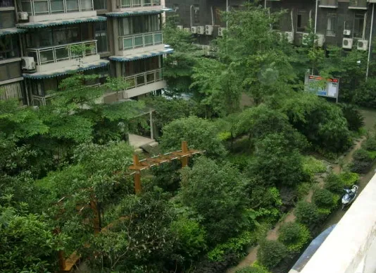 金域港湾3室2厅2卫南朝向3300.00元/月出租